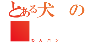 とある犬の    １０コンボ（わんパン）