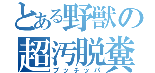 とある野獣の超汚脱糞（ブッチッパ）