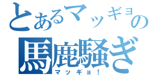 とあるマッギョの馬鹿騒ぎ（マッギョ！）