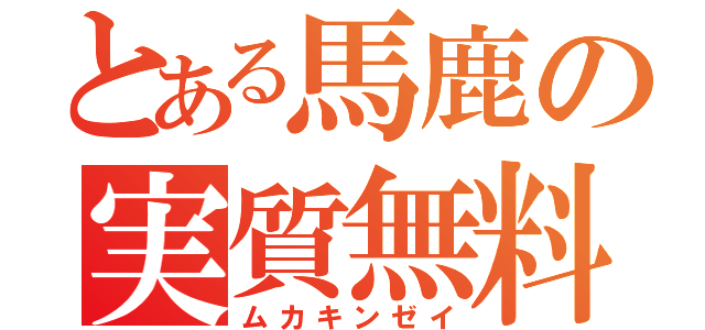 とある馬鹿の実質無料（ムカキンゼイ）