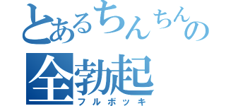 とあるちんちんの全勃起（フルボッキ）