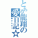 とある龍翔の愛日記☆（峯かんさつ）