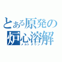 とある原発の炉心溶解（メルトダウン）