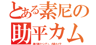 とある素尼の助平カム（透け透けハンディ、犬鼻カメ子）