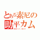 とある素尼の助平カム（透け透けハンディ、犬鼻カメ子）