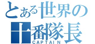 とある世界の十番隊長（ＣＡＰＴＡＩＮ）