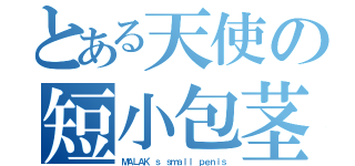 とある天使の短小包茎（ＭＡＬＡＫ'ｓ ｓｍａｌｌ ｐｅｎｉｓ）