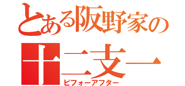 とある阪野家の十二支一巡（ビフォーアフター）