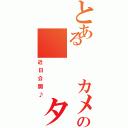 とある  カメコの   タイ人顔Ⅱ（近日公開♪）