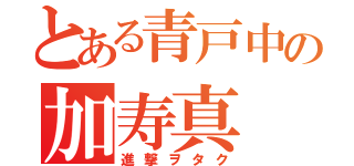 とある青戸中の加寿真（進撃ヲタク）