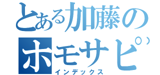 とある加藤のホモサピエンス（インデックス）