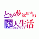 とある夢汰原永音の廃人生活（スカイプチュウ）