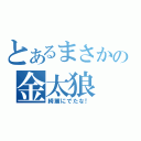 とあるまさかの金太狼（綺麗にでたな！）