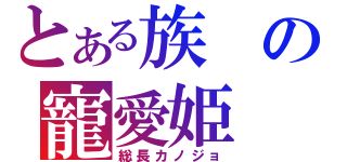 とある族の寵愛姫（総長カノジョ）