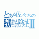 とある佐々木の勃起陰茎Ⅱ（トーテムポール）