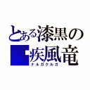 とある漆黒の鼯疾風竜（ナルガクルガ）