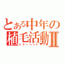 とある中年の植毛活動Ⅱ（ミラーヘッド）