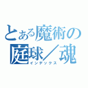 とある魔術の庭球／魂（インデックス）