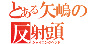 とある矢嶋の反射頭（シャイニングヘッド）