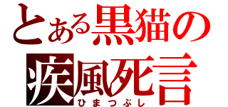 とある黒猫の疾風死言（ひまつぶし）