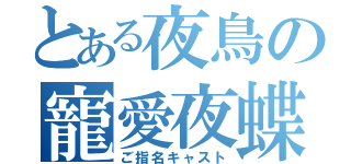 とある夜鳥の寵愛夜蝶（ご指名キャスト）