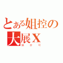 とある姐控の大展Ｘ圖（妹亦可）