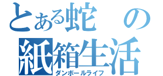 とある蛇の紙箱生活（ダンボールライフ）