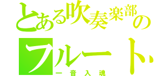 とある吹奏楽部のフルート吹き（一音入魂）