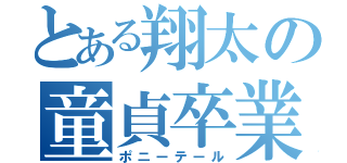 とある翔太の童貞卒業（ポニーテール）