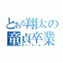 とある翔太の童貞卒業（ポニーテール）