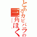 とあるカピバラの三角ほくろ（トライアングル       Ｓ）