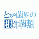 とある菌界の根生菌類（ブナシメジ）