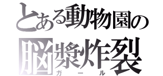 とある動物園の脳漿炸裂（ガール）