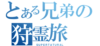 とある兄弟の狩霊旅（ ＳＵＰＥＲＴＡＴＵＲＡＬ）