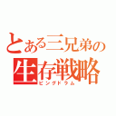 とある三兄弟の生存戦略（ピングドラム）