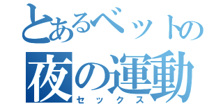 とあるベットの夜の運動会（セックス）