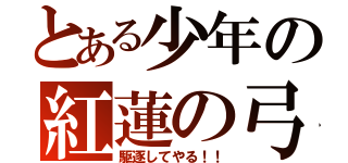 とある少年の紅蓮の弓矢（駆逐してやる！！）