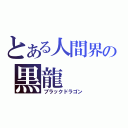 とある人間界の黒龍（ブラックドラゴン）