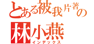 とある被我片著玩の林小燕（インデックス）