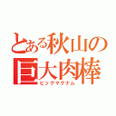 とある秋山の巨大肉棒（ビッグマグナム）