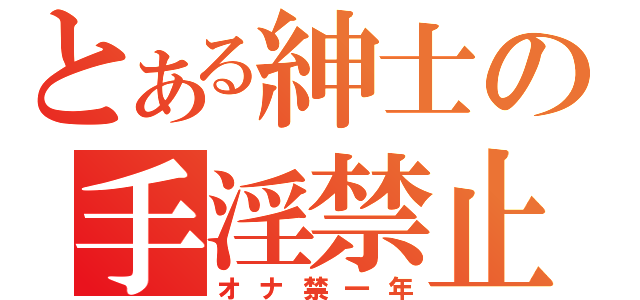 とある紳士の手淫禁止（オナ禁一年）