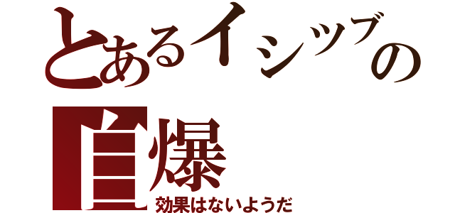 とあるイシツブテの自爆（効果はないようだ）