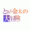 とある金太の大冒険（インデックス）