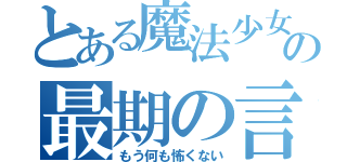 とある魔法少女の最期の言葉（もう何も怖くない）