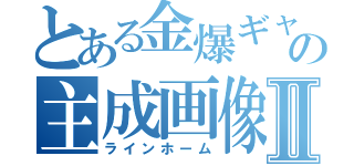 とある金爆ギャの主成画像Ⅱ（ラインホーム）