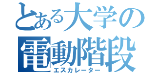 とある大学の電動階段（エスカレーター）