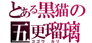 とある黒猫の五更瑠璃（コゴウ ルリ）