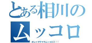 とある相川のムッコロ（オレァクサマヲムッコロス！！）