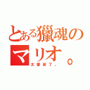 とある獵魂のマリオ。（太愛笑了。）