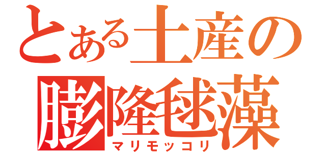 とある土産の膨隆毬藻（マリモッコリ）